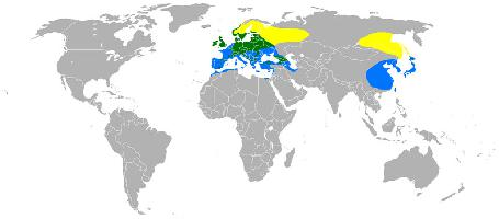 Foto: Eurasian siskin - występowanie